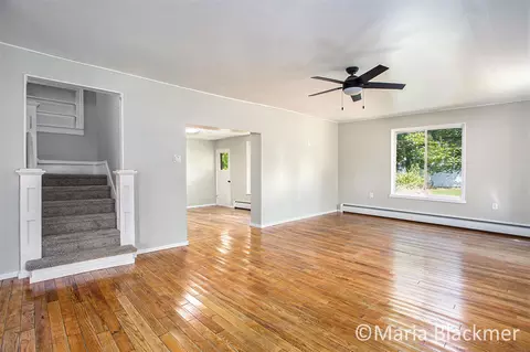 241 S King St, Lyons, MI 48851 photo 7