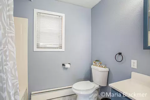 241 S King St, Lyons, MI 48851 photo 24