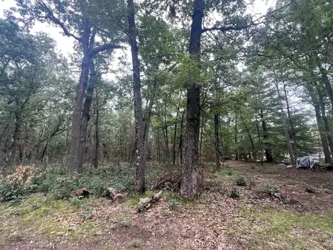 Lot 52 Winesap Rd, Baldwin, MI 49304 photo 13