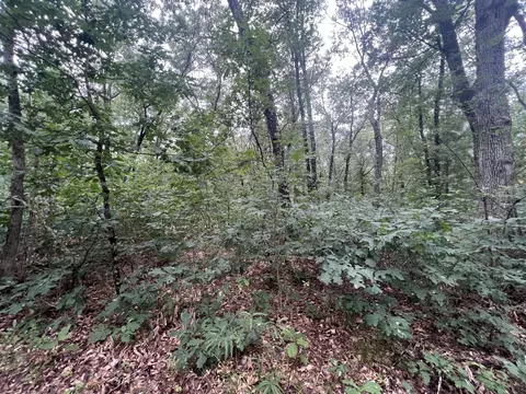 Lot 52 Winesap Rd, Baldwin, MI 49304 photo 9