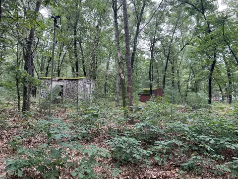 Lot 52 Winesap Rd, Baldwin, MI 49304 photo 6