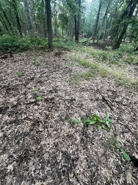 Lot 52 Winesap Rd, Baldwin, MI 49304 photo 2