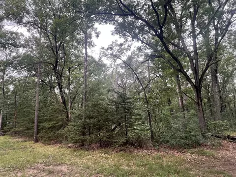 Lot 52 Winesap Rd, Baldwin, MI 49304 photo 11