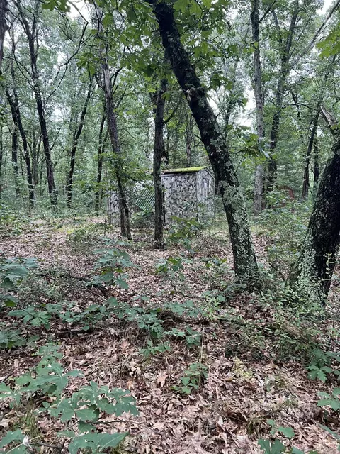 Lot 52 Winesap Rd, Baldwin, MI 49304 photo 5