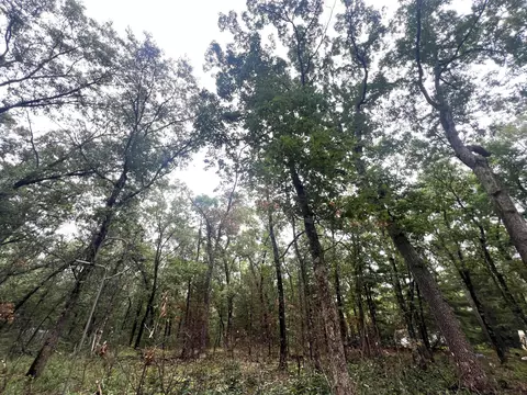 Lot 52 Winesap Rd, Baldwin, MI 49304 photo 15