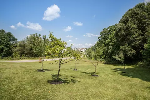 Exterior - 5764 Libby Ct, Dexter, MI 48130 photo 16 of 18