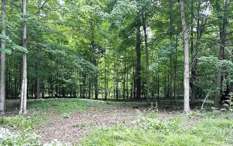 lot184 S E Shore Dr, Stanton, MI 48888