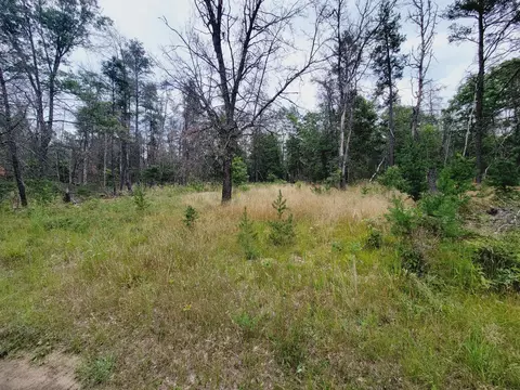 V/l S James Road, Baldwin, MI 49304