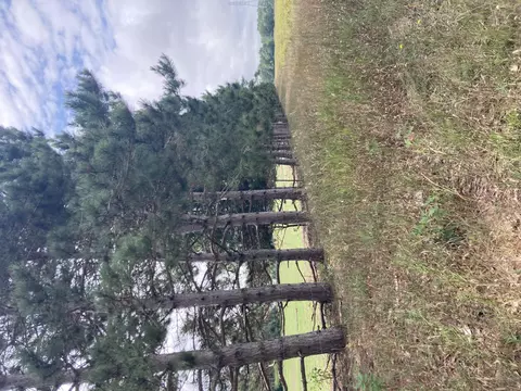 V/l 88th Avenue, Pentwater, MI 49449