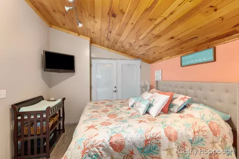 2567 Spring Grove Rd, Stanton, MI 48888 photo 21