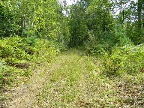 V/l N 112 Avenue, Pentwater, MI 49449