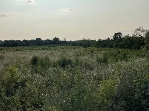 lot1 Munger Rd, Ypsilanti, MI 48197