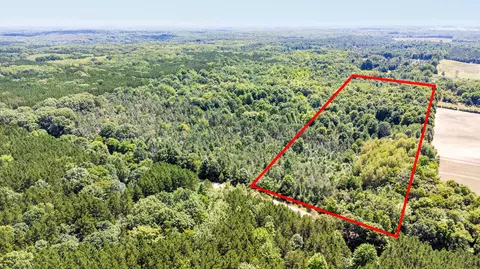 V/l E Pierce Road, Hesperia, MI 49421