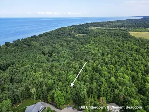 6 Wild Turkey Ln, Fennville, MI 49408