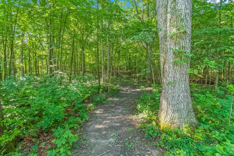 117 W Hatmaker Rd, Coldwater, MI 49036 photo 39