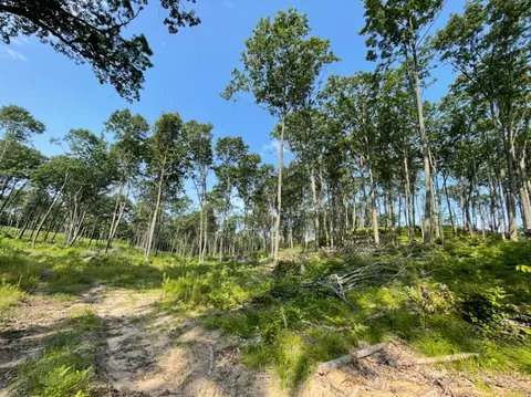 40 15 Mile Rd, Remus, MI 49340