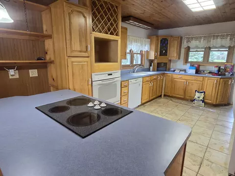 214 Sunset Dr, Dowling, MI 49050 photo 11