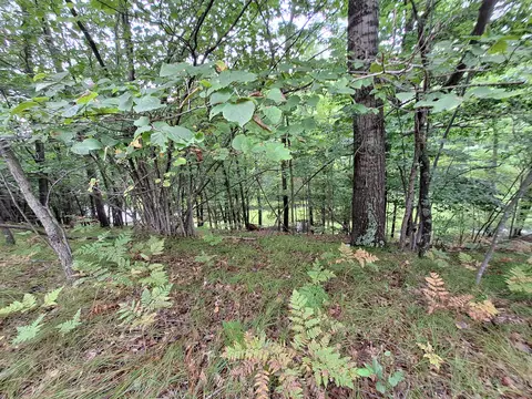 4766 E Barothy Rd, Custer, MI 49405 photo 24