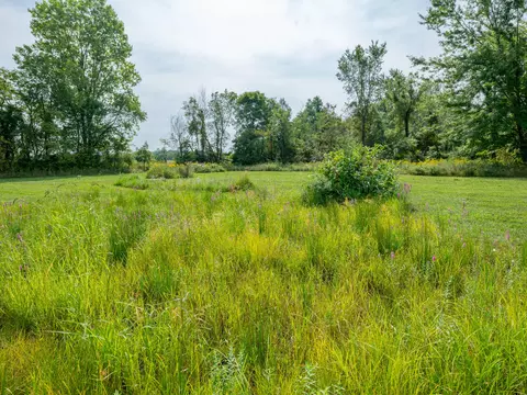 12952 E Ts Ave, Climax, MI 49034 photo 26