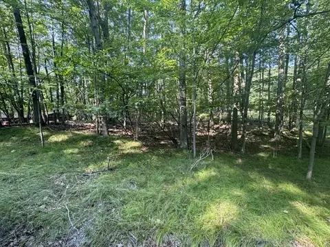 tbd Timberlane Dr, Canadian Lakes, MI 49346