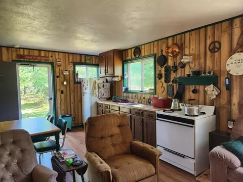 00 W Welch Rd, Baldwin, MI 49304 photo 5
