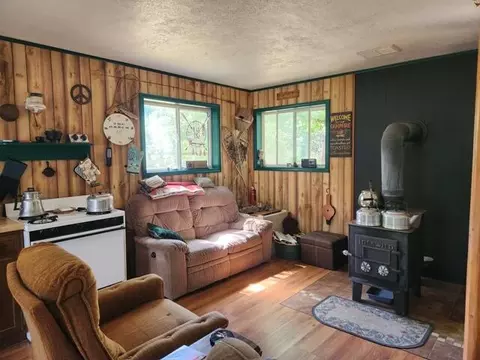 00 W Welch Rd, Baldwin, MI 49304 photo 6