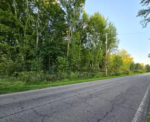 56 Th St, Pullman, MI 49450 photo 2