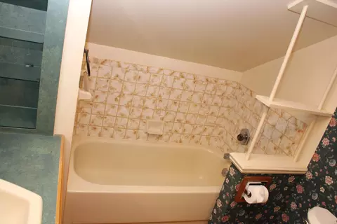 Bath - 305 Mills Rd, Saline, MI 48176 photo 5 of 6