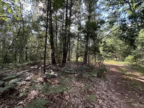 V/l 5.5a Holton-duck Lake Road, Holton, MI 49425
