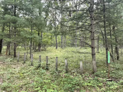V/l W Jefferies St Road, Irons, MI 49644
