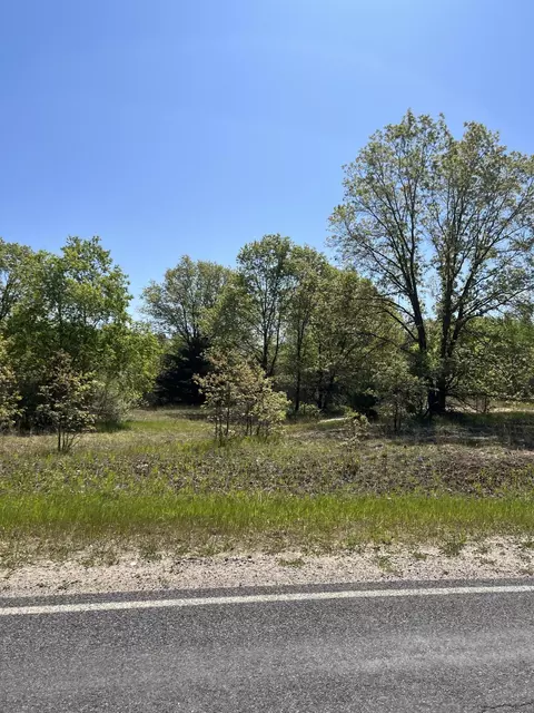 Parcel D Bosschem, Wellston, MI 49689