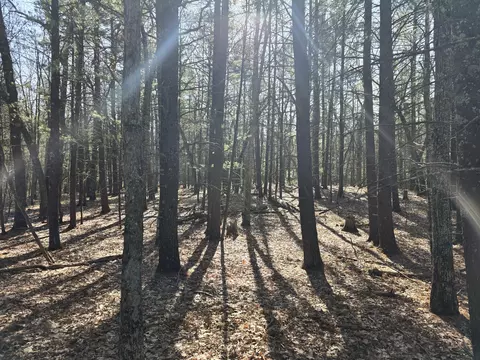00 Granger Rd, Irons, MI 49644 photo 12
