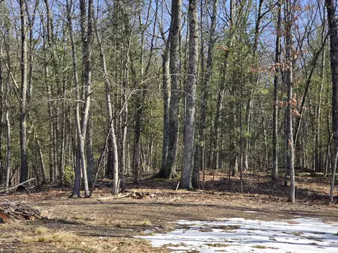 00 Granger Rd, Irons, MI 49644 photo 10