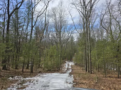 00 Granger Rd, Irons, MI 49644 photo 17