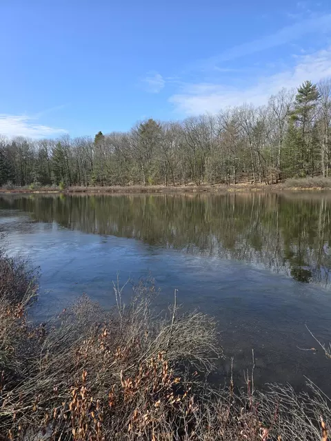 00 Granger Rd, Irons, MI 49644 photo 3