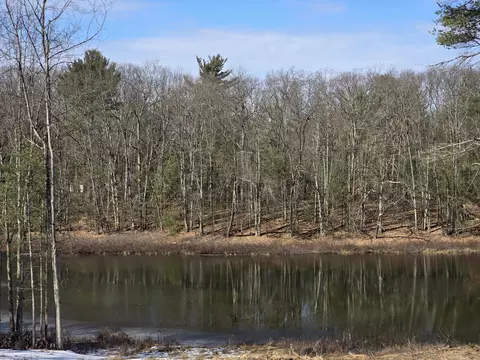 00 Granger Rd, Irons, MI 49644