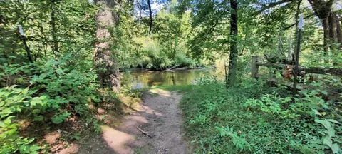 466 S Dowling, White Cloud, MI 49349 photo 9