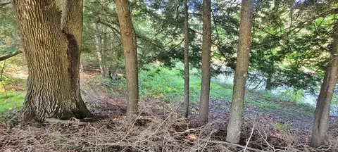 466 S Dowling, White Cloud, MI 49349 photo 38