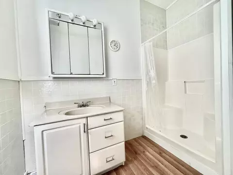 230 Mowry Ave, Bronson, MI 49028 photo 29