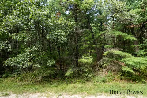 8079 E 62nd St, Newaygo, MI 49337 photo 4