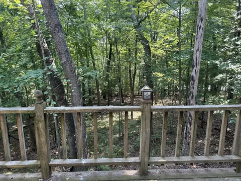 9200 S Oxeye Ave, Baldwin, MI 49304 photo 53
