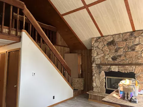 9200 S Oxeye Ave, Baldwin, MI 49304 photo 10