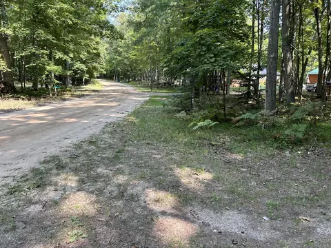 9200 S Oxeye Ave, Baldwin, MI 49304 photo 57
