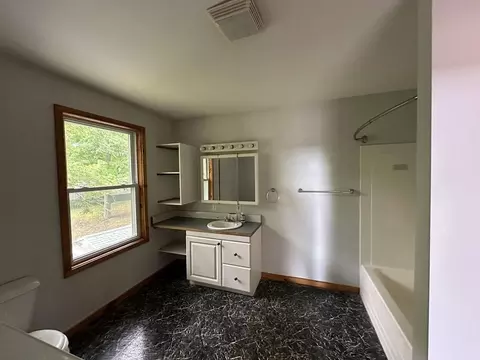 2461 Lakeside Dr, Stanton, MI 48888 photo 6