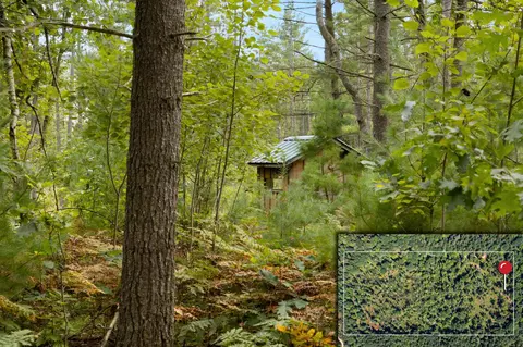 V/l E Gaukel Road, Lake City, MI 49651