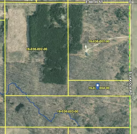 V/l S Lakola Rd, Reed City, MI 49677