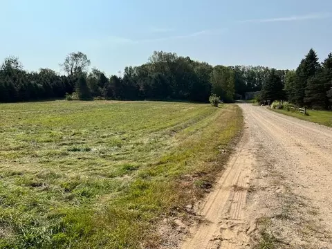 Vacant Lan Wildlife Lane, Bellevue, MI 49021