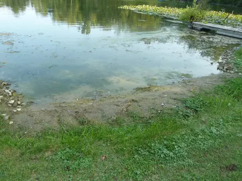 13553 13545 Young Dr, Hudson, MI 49247 photo 14