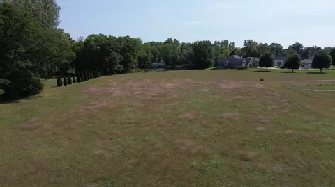 Locust Street, Constantine, MI 49042 photo 6