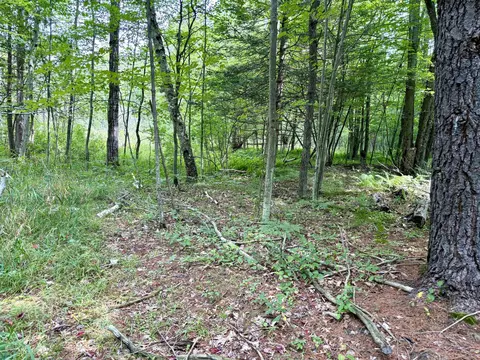 Johnson Road, Kaleva, MI 49645 photo 15